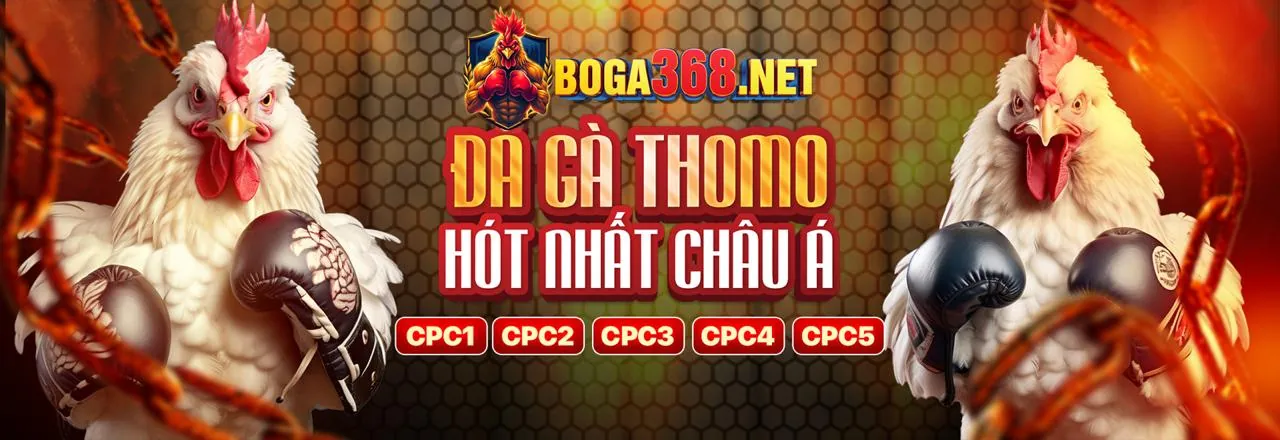 Tổng quan về f168vip, nhà cái uy tín hàng đầu