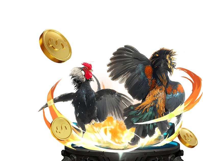 Trò chơi người chia bài trực tiếp